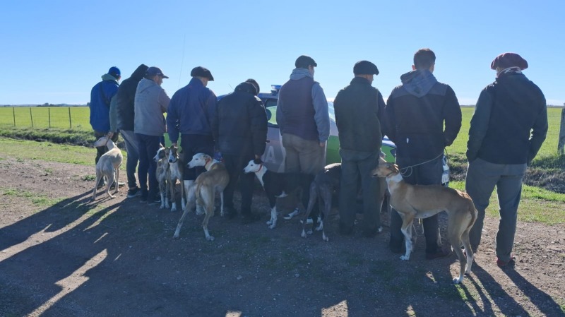 Demoraron a 9 hombres por cazar liebres en un campo